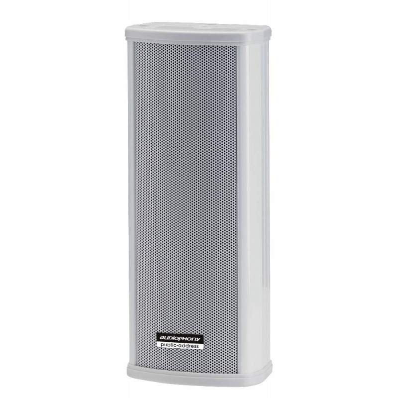 CLS220 COLUMNA 2 VIAS 2x2.5"-10 /20W 100V IP44