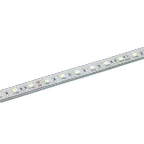 PURETAPE6067-COLD TIRA LED CW 5m 60 LED/m 5050 24V IP67 CONTEST